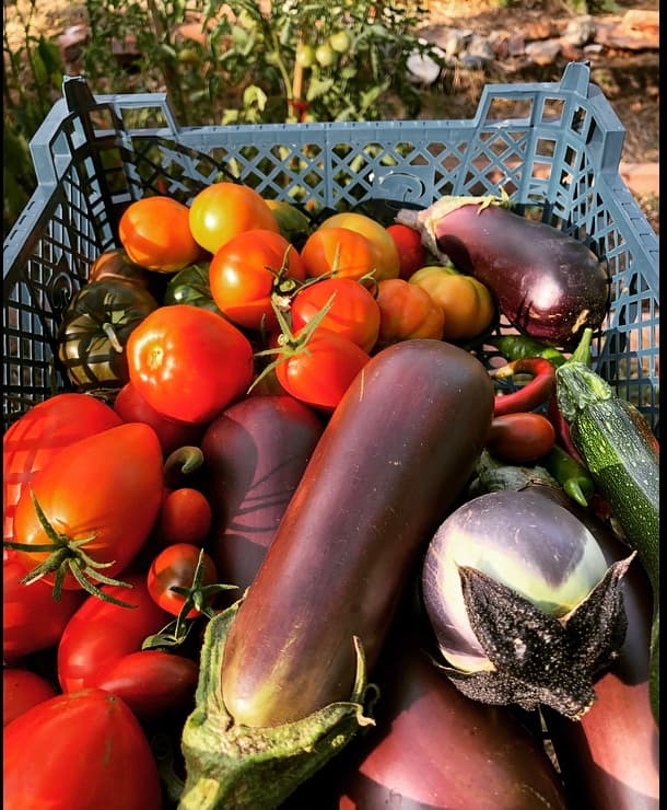 Bien manger tout en respectant la&nbsp;planète.