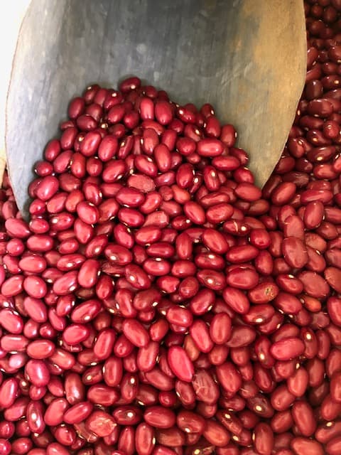 Pourquoi se passer des bienfaits des haricots&nbsp;secs?
