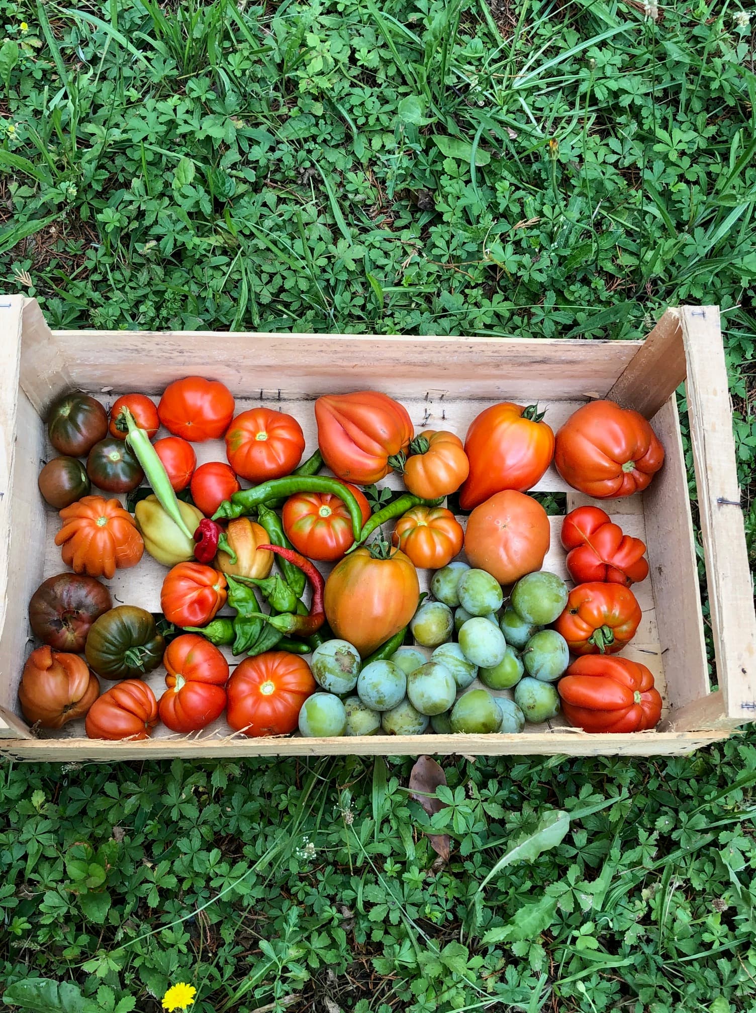 Comment manger à sa faim quand on souffre de précarité alimentaire&nbsp;?