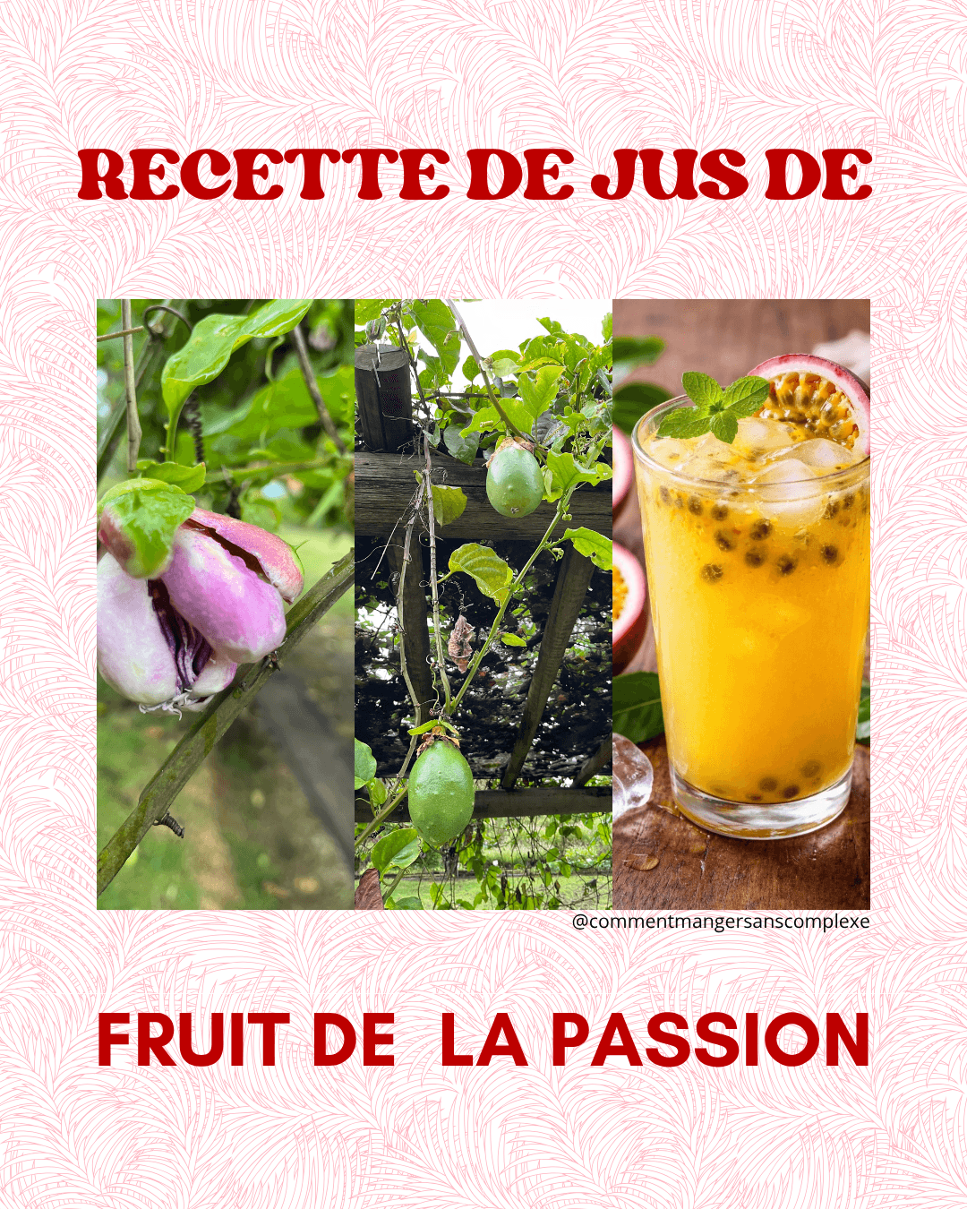 Jus de fruit de la passion&nbsp;naturel
