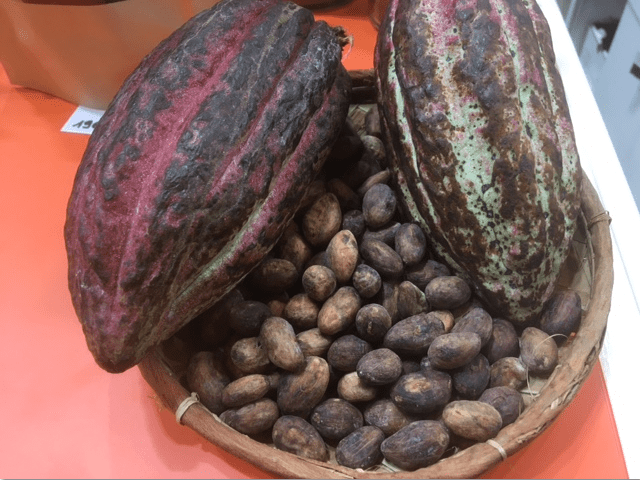cacao