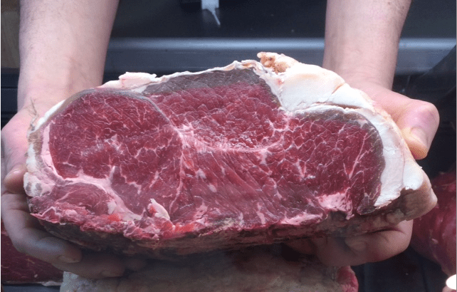 FOTO VIANDE